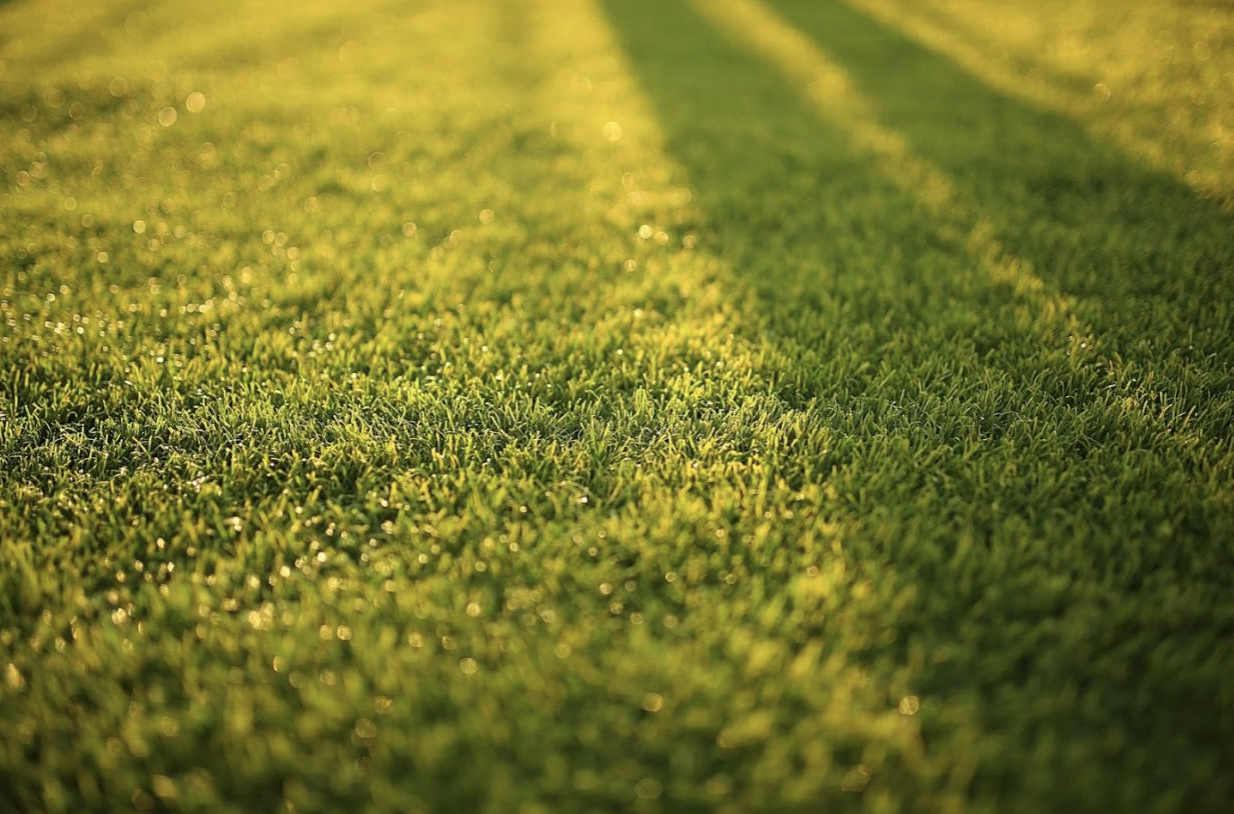 4-reasons-to-install-artificial-turf-mauzy-heating-air-solar