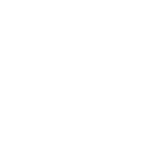 60 years badge
