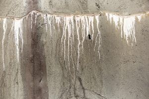A concrete wall shows extensive white mineral deposits and vertical water stains, indicating signs of moisture intrusion or a possible slab leak.
